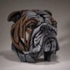 Edge Bulldog Bust Sculpture