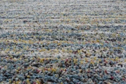 Mastercraft Mehari Heatset Wilton Rug 023-0067/5949 -Household Items 53855 24740